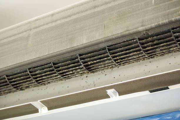 Best Home Air Vent Cleaning  in Second Mesa, AZ
