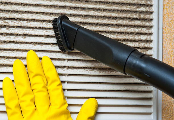 Best Professional Duct Cleaning Services  in Second Mesa, AZ